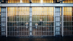 Lock Up Repeat Offenders