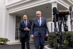 America Watching a Split Screen Between Trump, Dems