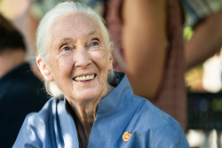 Jane Goodall: 1934 – 2025
